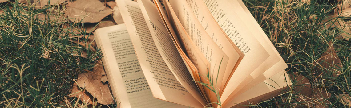 Tema 1 Se eu pudesse ser qualquer coisa no mundo, o que eu seria?